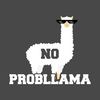 llama_mama19